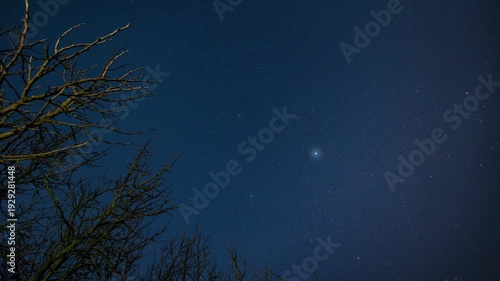 Dramatic 4K night time-lapse showing the movement of stars and Milky Way over a grove of trees and scenic mountain panorama, southern Europe.
