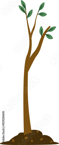 Sapling Growing From Soil Cartoon