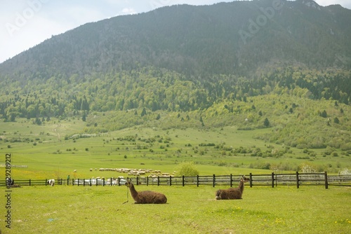 Individuals engage in the mindful act of picking wild stinging nettles in a serene rural setting, highlighting a shift toward slower living and deeper connection with nature