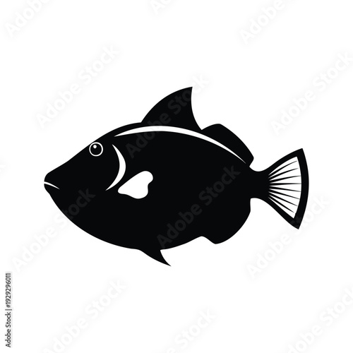 Black and white fish with detailed fins silhouette vector illustration, triggerfish silhouette vector illustration