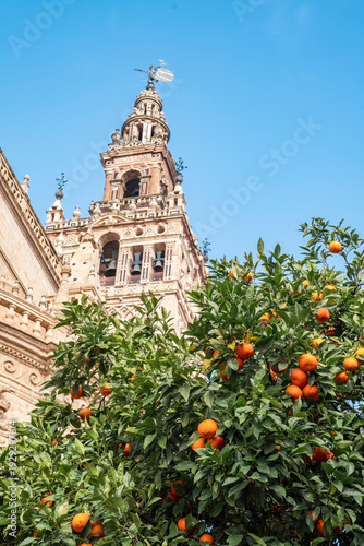 View of the La Giralda with Seville’s iconic orange trees