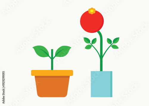 Diagram illustrating a small green sprout in an orange pot next to a taller tomato plant in a blue square pot.