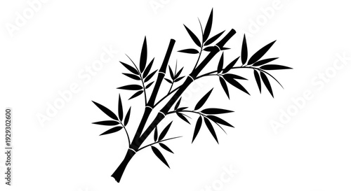 Bamboo branch silhouette with leaves on white background.