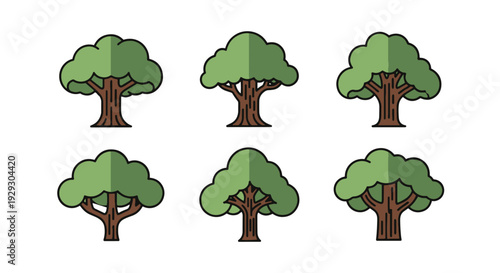 Rainforest tree Line creative tone color illustration