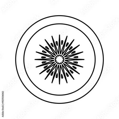 A stylized representation of a kiwi fruit slice, depicted as a circular motif with radiating lines, suitable for graphic design and branding
