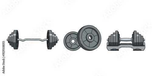 collection of vector illustrations of weight lifting equipment in the gym