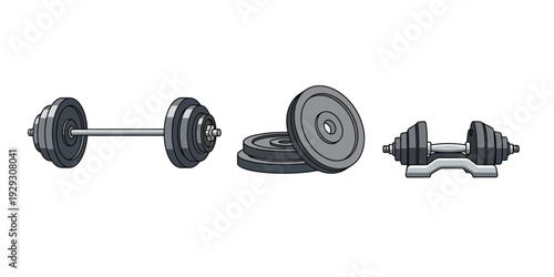 collection of vector illustrations of weight lifting equipment in the gym
