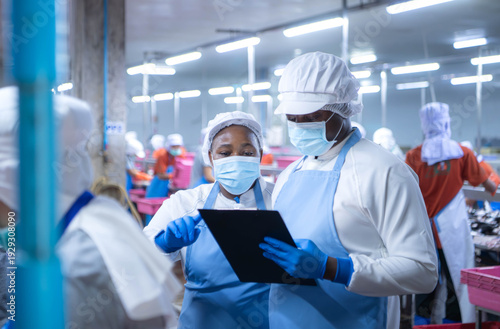 Wallpaper Mural Quality control officer and workers sorting, inspecting raw fish Torontodigital.ca