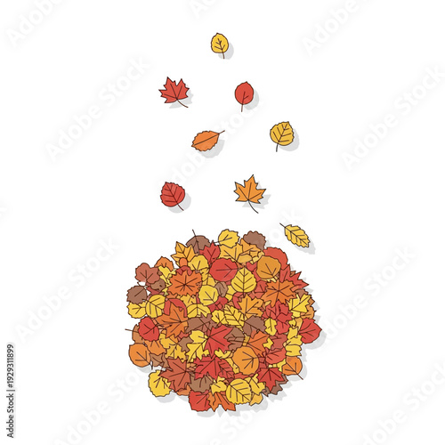 Autumn leaves falling and piling up, isolated on white background