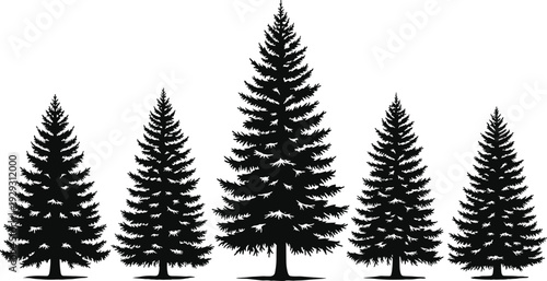 Spruce and fir tree silhouettes set with detailed evergreen branch structures in cad drawing flat vector illustration for forest landscape design