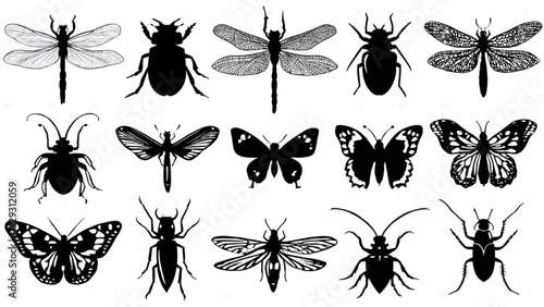 Editable Insect Icon Set Minimal Bug Shapes Isolated Vector Collection
