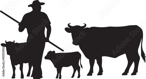 Black silhouette of cowboy with cattle calf