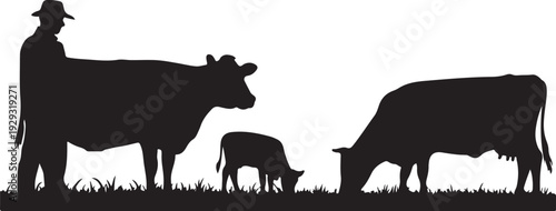 Black silhouette of cowboy with cattle cows grass