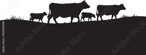 Black silhouette of cows and calves on grassy hill