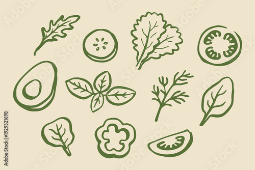 Salad herbs and vegetables doodle line art vector illustration