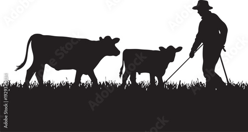 Black silhouette of man leading two cows on grass cattle