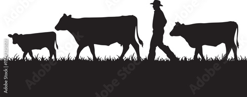 Black silhouette of man walking with three cows white background