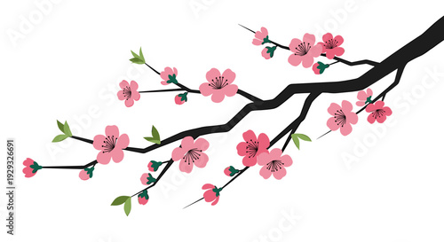 Japanese cherry blossom branch with pink sakura flowers minimal flat vector illustration isolated on light background