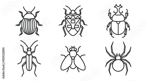 Insects and spiders in minimalist line art style with black and white color scheme on clean white background for entomology education