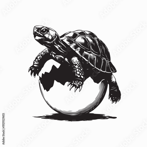 Marine Turtle Hatching from Egg Vector Logo Illustration Wildlife Design