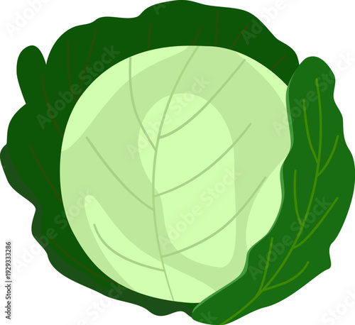 cauliflower vegetables