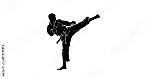 Karate Fighter Silhouette Kicking - Martial Arts Action
