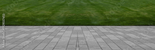 Green lawn and road surface from paving slabs in backyard. Gray color tiles floor, strip line concrete pavement and green grass carpet lawn. Concrete paving with tiles Green bush and cut grass in park