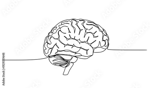 Minimal Human Brain Continuous Line Art Vector Side View Illustration
