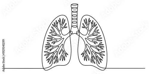 Continuous line drawing of human lungs showing the trachea and bronchial system. Vector, illustration