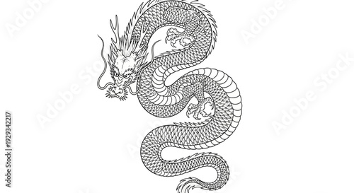Traditional Chinese Dragon Illustration - Black and White