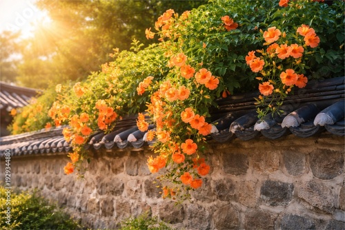 Beautiful orange Trumpet Creeper flowers blooming on a traditional wall