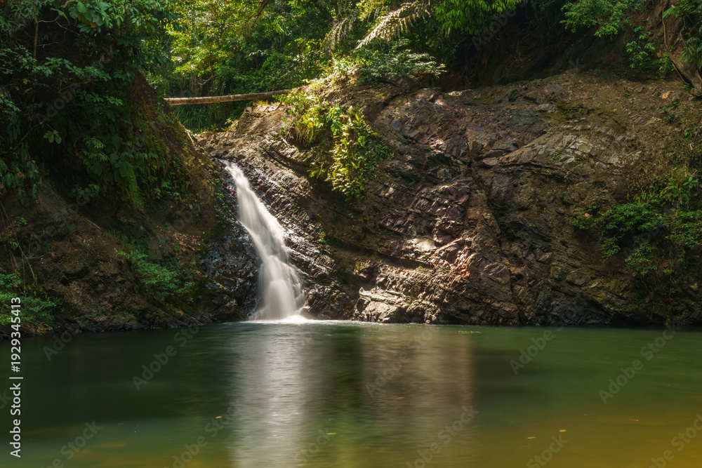 Obraz premium A small rainforest waterfall flows into a forest pool beside a rock wall in Borneo, Malaysia.