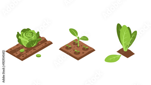 set of hand drawn vegetable plants growing in soil with seeds and leaves