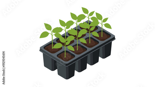 young seedlings growing in black plastic seed tray hand drawn vector illustration for gardening and plant nursery