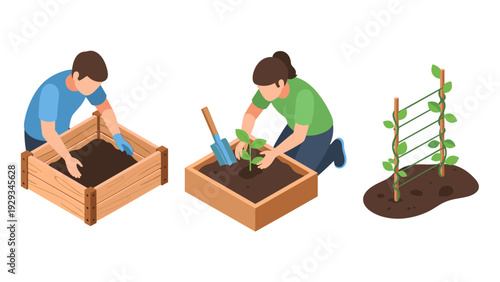 people planting garden seeds and seedlings in wooden planter boxes with trellis support isometric vector illustration