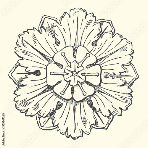 Ornate floral rosette, engraved decorative emblem, vintage baroque style element for design and embellishment