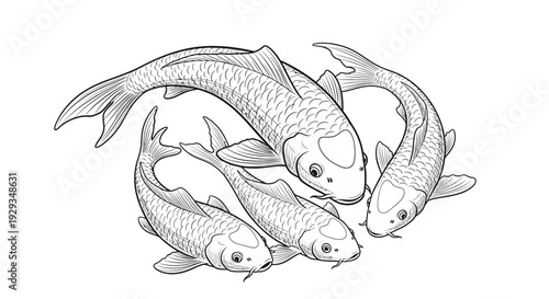 Hand-drawn Koi Fish Circle Illustration - Black and White Line Art