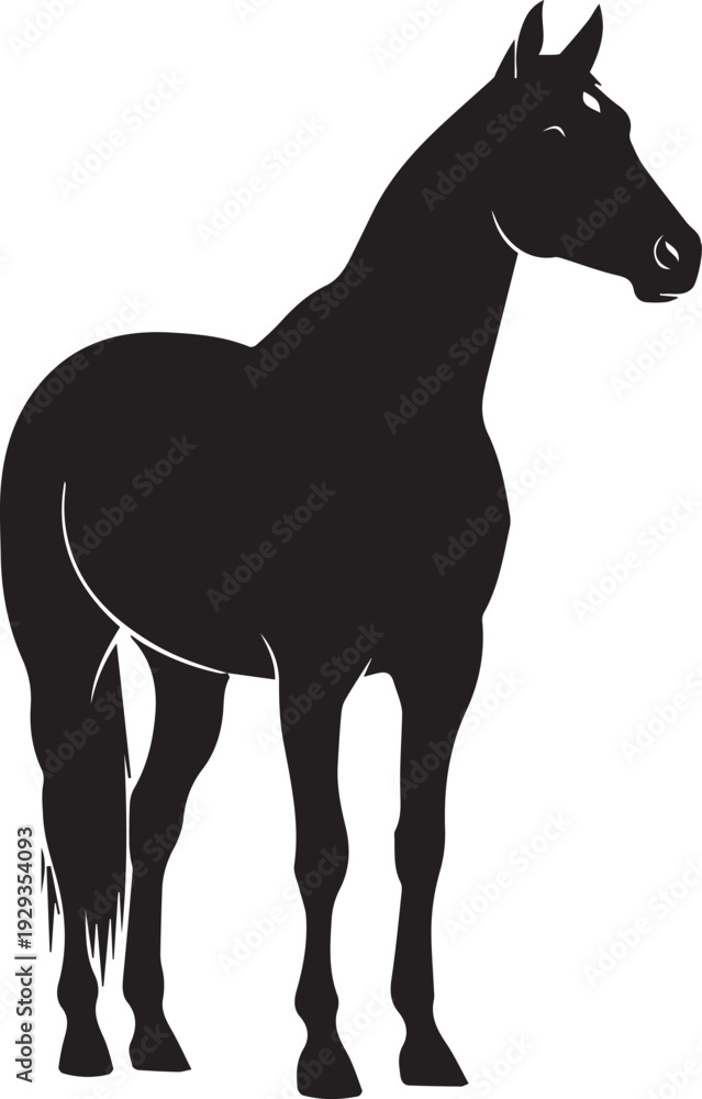 Fototapeta premium Standing thoroughbred horse silhouette vector illustration showing muscular animal anatomy