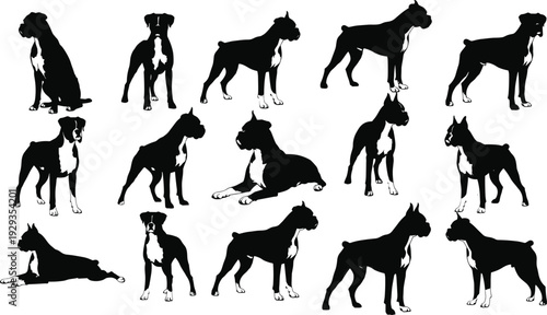 Boxer Dog Silhouette Vector Set Collection Featuring Multiple Poses Including Standing Sitting and Lying Down Silhouettes for Canine Breed Graphics