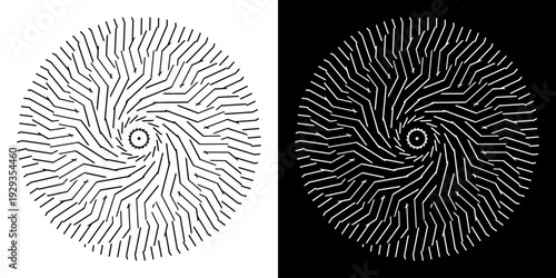 Abstract background with abstract line pattern in circles. Spiral art design as a logo or icon. A black figure on a white background and the same white figure on a black side. Mandala design with line