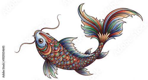 Colorful Koi Fish Illustration Isolated on White