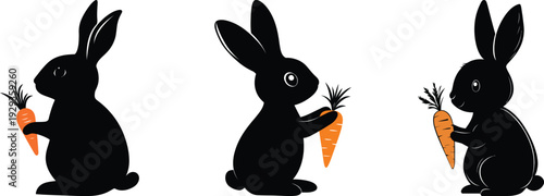 Rabbit silhouette set. Vector illustration. Bunny poses in different sitting positions. Easter concept.