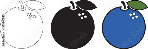 Illustrations of three fruits in different styles: outlined, filled in black, and colored blue, each with leaves and subtle details