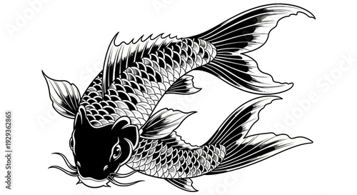 Two Black Koi Fish, Japanese Art Style, Illustration