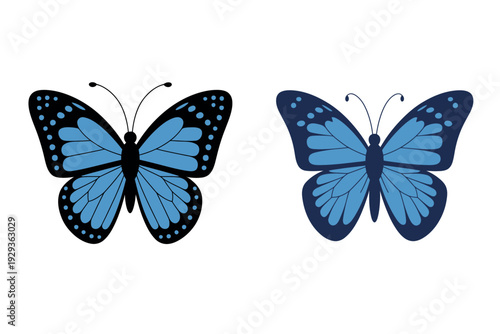 Blue Morpho Butterfly Collection: Professional Vector Illustrations of Tropical Insects with Vibrant Iridescent Wings