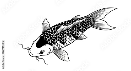 Black and White Koi Carp Fish Illustration, Japanese Art Style