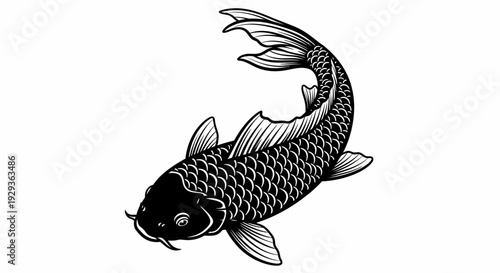 Black Koi Fish Illustration - Japanese Carp, Swimming, Asian Culture