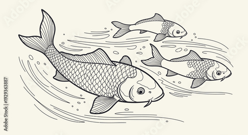 Three Koi Fish Swimming in Water, Line Art Illustration