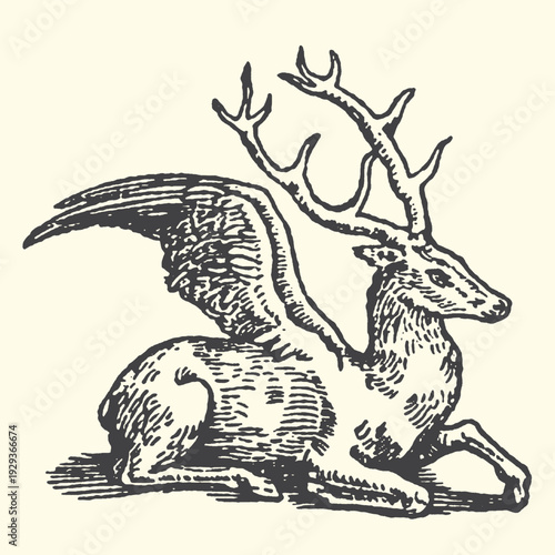 Mythical winged stag illustration in vintage engraving style, creature resting, isolated on cream background