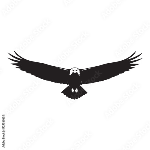Flying eagle with wide wings smooth curves luxury emblem style Vector illustration